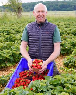 Andreas Hanisch aus der Region mit Erdbeeren