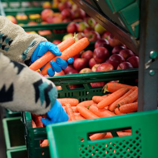 Ökokiste mit regionalem Bio Obst und Gemüse