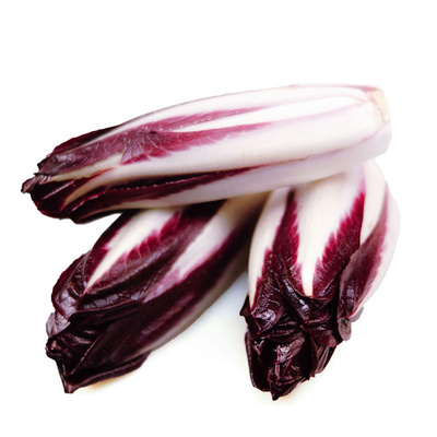 Produktfoto zu Chicoree rot