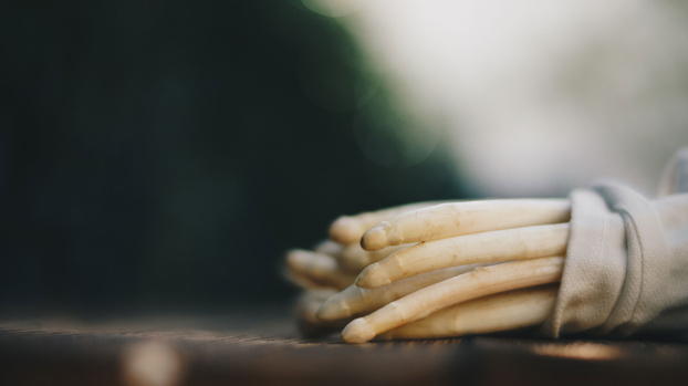 Rezeptbild für Spargelauflauf