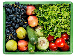 Produktfoto zu Speedykiste