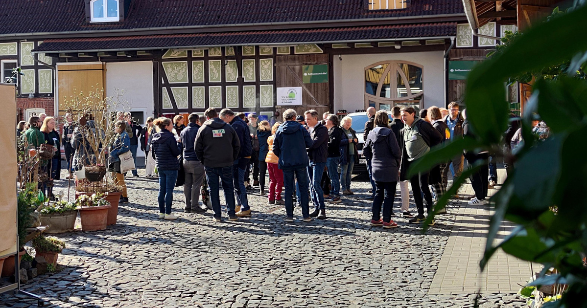 KI generiert: Das Bild zeigt eine Auswahl an Wurzelgemüsen, darunter lila Karotten, Pastinaken und eine Steckrübe, auf einem Holztisch arrangiert.