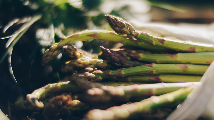 Rezeptbild für Spargelquiche