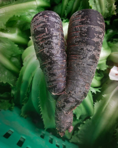 Das Bild zeigt mehrere Personen, die in einer Küche zusammenarbeiten, vermutlich bei einem Kochkurs oder einer Gruppenkochaktivität. Sie tragen Schürzen und sind mit der Zubereitung von Zutaten beschäftigt.