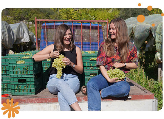 Geschäftsführerinnen auf einem Weingut