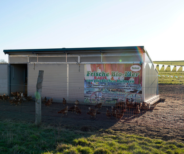 Hühnerstall
