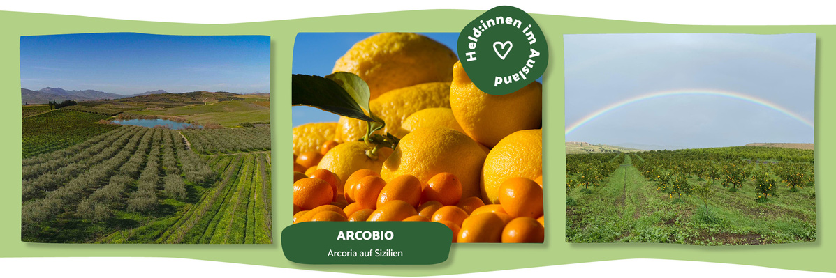 Arcobio
