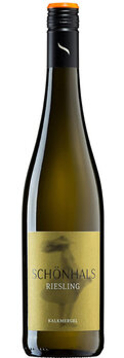 Produktfoto zu Weingut Schönhals Riesling Kalkmergel 0,75L