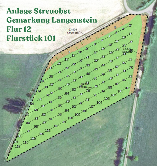 KI generiert: Karte einer Streuobstanlage mit nummerierten Bäumen in Langenstein. Text: "Anlage Streuobst Gemarkung Langenstein Flur 12 Flurstück 101".