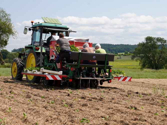 KI generiert: Ein Traktor mit Personen pflanzt Setzlinge auf einem Feld.