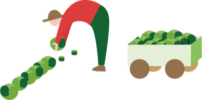 Illustration einer Person die Bio-Salat erntet