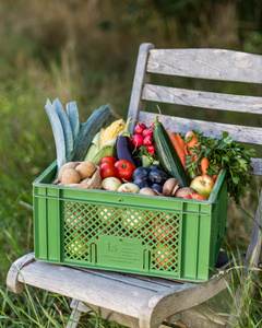 Das Bild zeigt mehrere Personen, die in einer Küche zusammenarbeiten, vermutlich bei einem Kochkurs oder einer Gruppenkochaktivität. Sie tragen Schürzen und sind mit der Zubereitung von Zutaten beschäftigt.