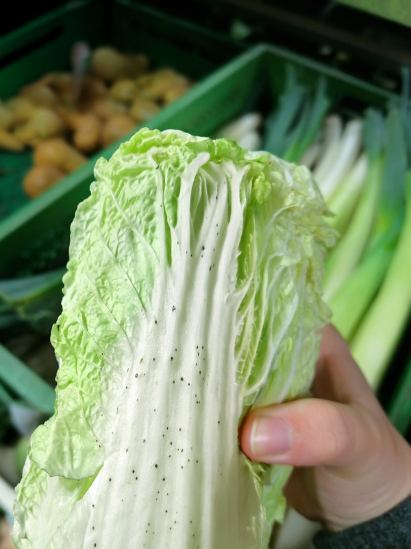 KI generiert: Jemand hält ein Stück Chinakohl. Im Hintergrund sind Lauch und Kartoffeln in Kisten zu sehen.
