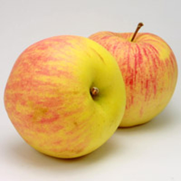 Produktfoto zu Apfel Delbar Estival