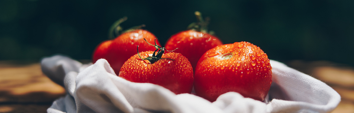 Warenkunde Obst und Gemüse in der Ökokiste