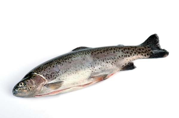 Produktfoto zu Regenbogenforelle frisch ca.400g