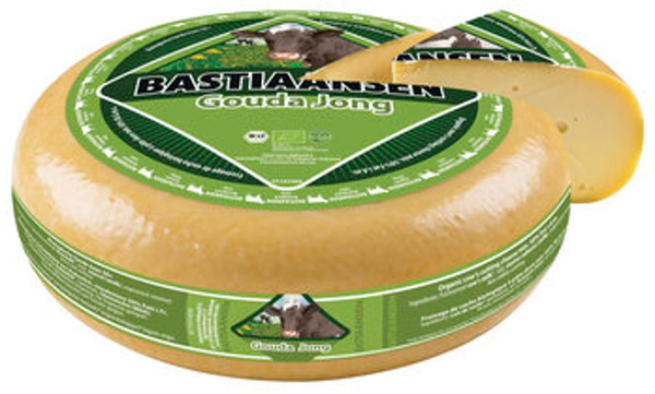 Produktfoto zu Gouda jung 50%