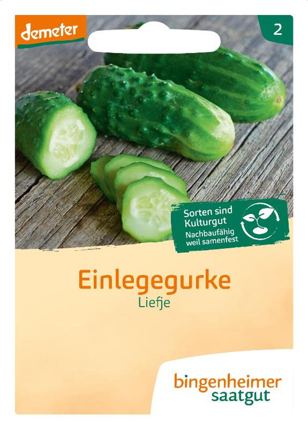 Produktfoto zu Bingenheimer Saatgut Einlegegurke Liefje Samen