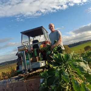 Karl Kohl vom Weidehof erntet Rosenkohl bei strahlendem Sonnenschein