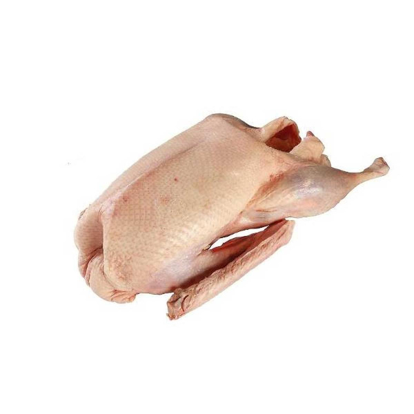 Produktfoto zu Regionale Gans 5 - 6kg