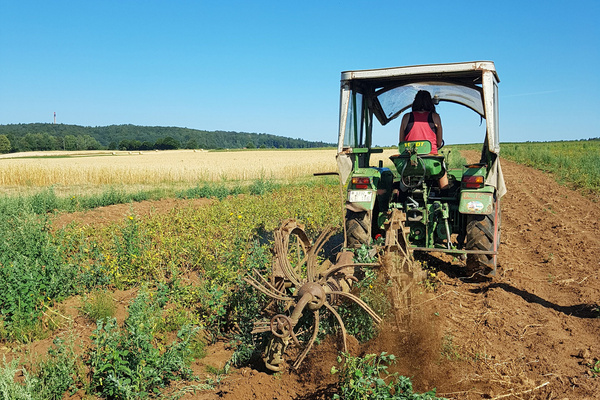 Traktor bei der Arbeit