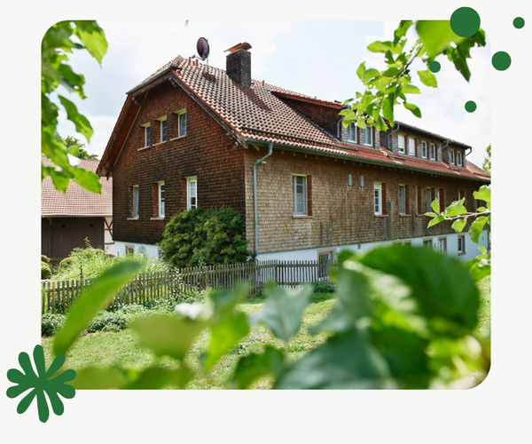 KI generiert: Zwei Personen stehen in einem Gewächshaus voller Pflanzen und halten eine Kiste mit frischem Gemüse. Der Fokus liegt auf der Präsentation der Ernte.