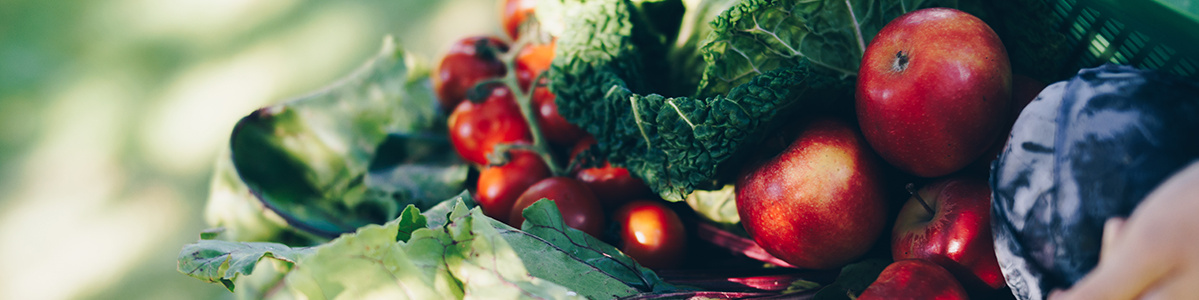 Mehrwegkiste der Ökokiste Bosshammersch Hof mit aufschrift Allgemeine Geschäftsbedingungen