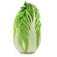 Weißkraut