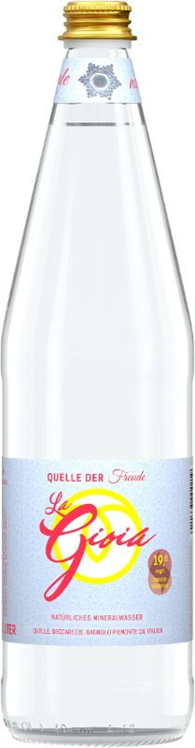 Produktfoto zu La Gioia Mineralwasser still 1L