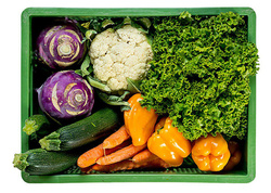 Produktfoto zu Rohkostkiste