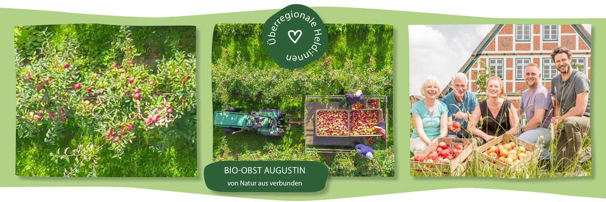 Traktor bei der Apfelernte