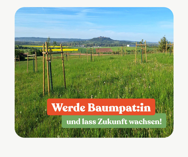 Bäume auf der Streuobstwiese mit Blick auf die Amöneburg