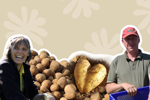 Streuobstwiese für Baumpatenschaft