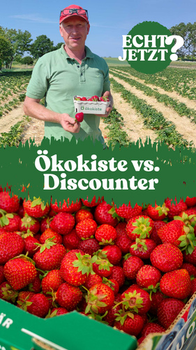 Oben im Bild: Landwirt mit einer Schale Erdbeeren. In der Mitte der Slogan Ökokiste vs. Discounter. Unten im Bild Erdbeer-Schalen im Discounter