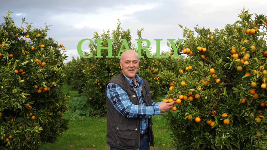 Charly neben Blutorangenbäumen