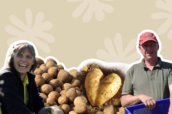 Streuobstwiese für Baumpatenschaft