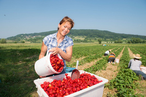 Inhaberin der Beerenbauern