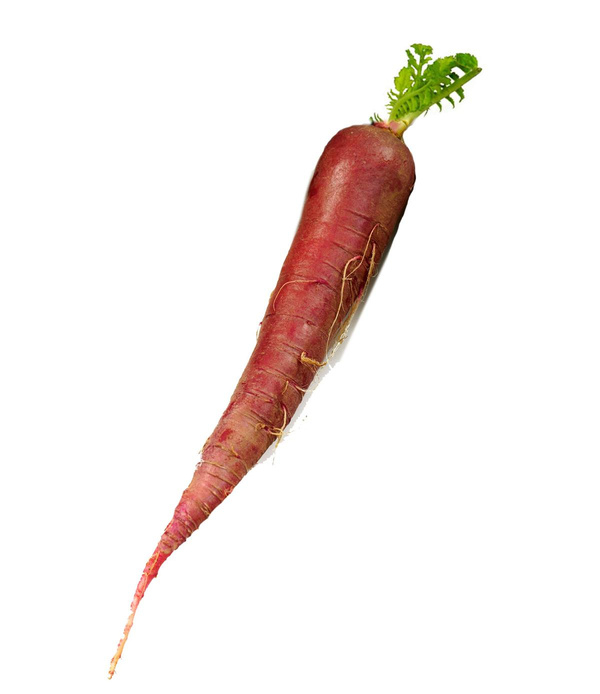 Produktfoto zu Rettich rot