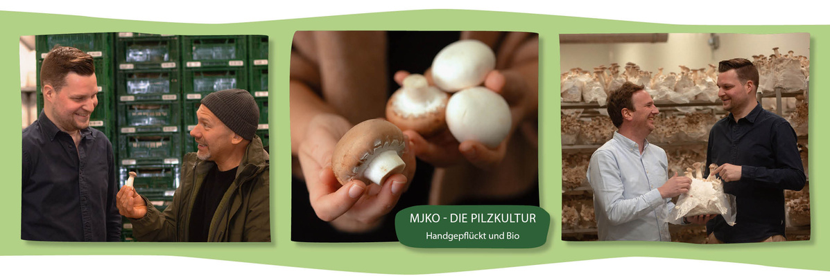 Löckes Bio-Pilze