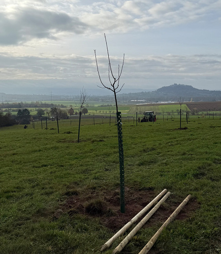 KI generiert: Eine grüne Wiese mit jungen Bäumen und einem Traktor im Hintergrund.