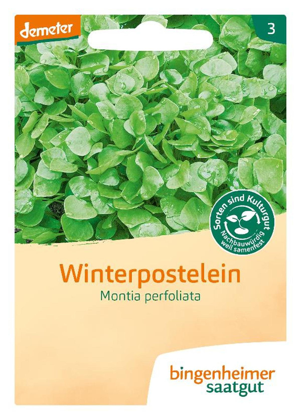 Produktfoto zu Bingenheimer Saatgut Winterpostelein Samen