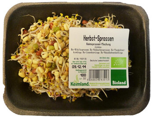 Produktfoto zu Herbstsprossen