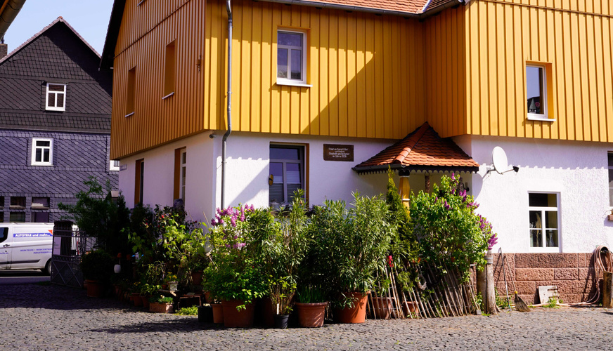 KI generiert: Gelbes Gebäude mit grünen Pflanzen und Blumen in Töpfen davor. Kopfsteinpflaster im Vordergrund.