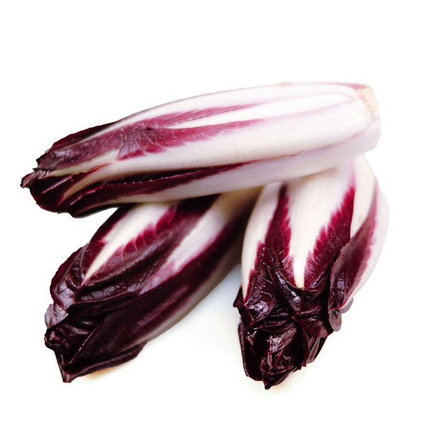 Produktfoto zu Chicoree rot