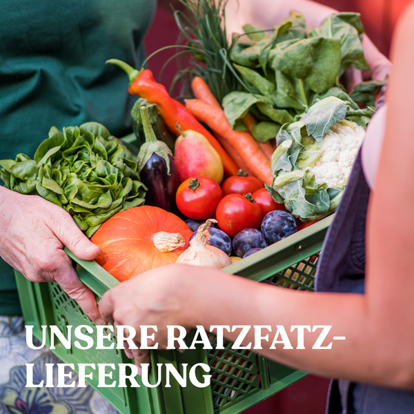 Fahrer mit Ökokiste vor Elektro-Lieferauto