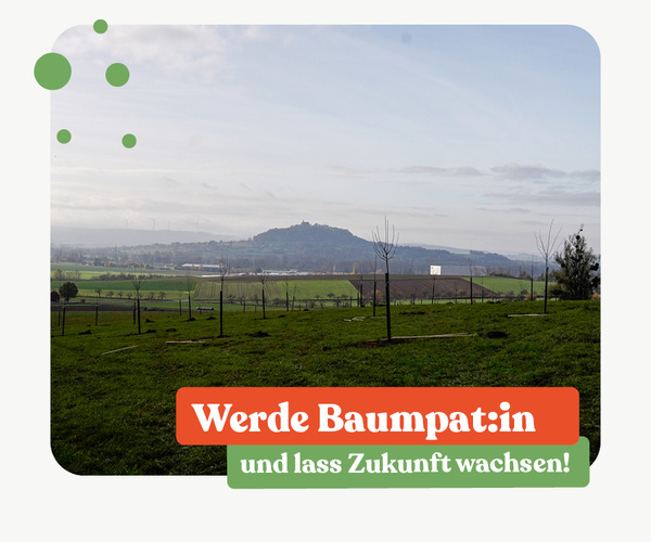 KI generiert: Landschaft mit jungen Bäumen. Text: "Werde Baumpat:in und lass Zukunft wachsen!"