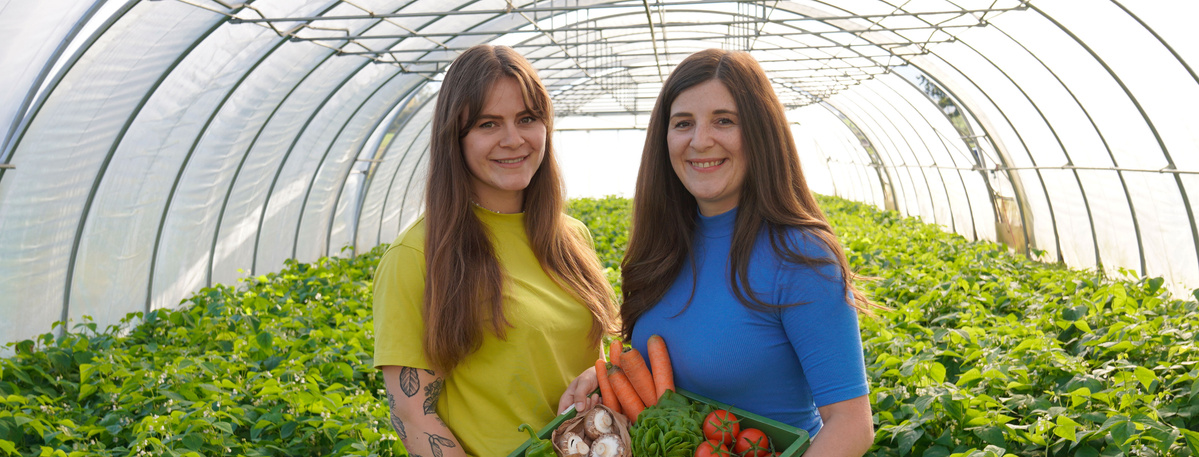 KI generiert: Das Bild zeigt eine Auswahl an Wurzelgemüsen, darunter lila Karotten, Pastinaken und eine Steckrübe, auf einem Holztisch arrangiert.