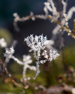 KI generiert: Das Bild zeigt mehrere Personen, die in einer Küche zusammenarbeiten, vermutlich bei einem Kochkurs oder einer Gruppenkochaktivität. Sie tragen Schürzen und sind mit der Zubereitung von Zutaten beschäftigt.