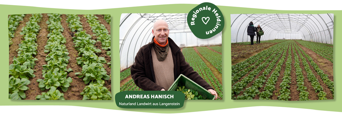 Andreas Hanisch