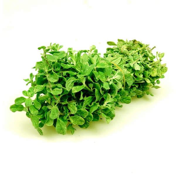 Produktfoto zu Majoran Bund